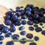 Blueberry-Custard-500x500-1-500x500.png