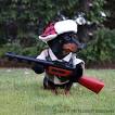 Weiner dog with gun.jpg