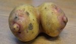 potato-breasts-tits-funny-452972.jpg