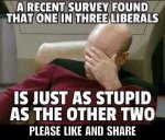 1 in 3 liberals.jpg