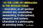 liberalism a desease.jpg