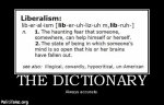 dictionary-liberal-moonbat-politics.jpg