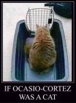 If Cortez was a cat.jpg