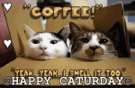 graphics-coffee-674148.gif