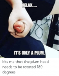 relak-its-only-a-plum-irks-me-that-the-plum-44467044.png