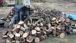 wood pile.jpg