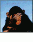 chimp laughing.gif