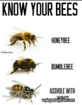 Bees.png