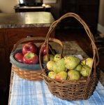 apples and pears.jpg