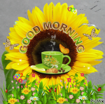 1601114608936.png 1601114608936.png