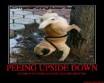 PEEINGUPSIDEDOWN.jpg