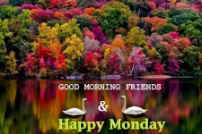 1604916843386.png 1604916843386.png