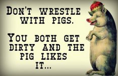 akin-alabi-blog-wrestle-with-pigs.jpg