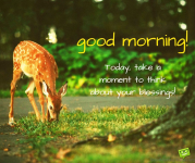 1606476757030.png 1606476757030.png