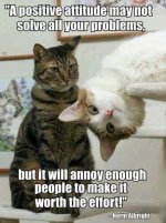 a1c191eb57bc455f7f95fb78dc954e93 (1).jpg