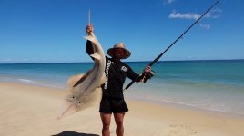 images (6).jpeg images (6).jpeg