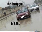 the-struggle-is-real_o_1665981.jpg