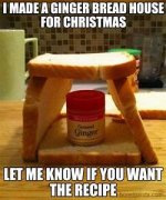 ginger bread.jpg