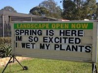 spring-is-here-wet-plants-56f1556a5f9b5867a1c6b0b9.jpg