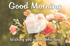 Good-Morning-Wishing-you-a-wonderful-day.jpg