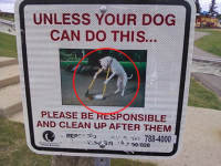 1621943319684.png