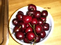 Cherries 2.jpg