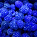 blueraspberryjollyrancher.jpg blueraspberryjollyrancher.jpg