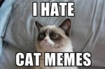 grumpy-cat-meme-1-440x292-c.jpg