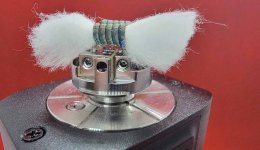 32 Cotton Trimmed.jpg