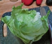 Lettuce.jpg