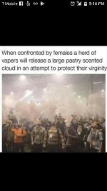 Vapors virginity.jpg