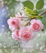 375007-Birdy-Rose-Good-Morning-Gif.gif