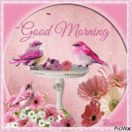 396860-Pink-Birdy-Good-Morning-Gif.gif