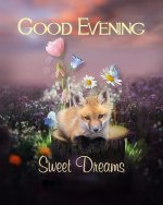449331-Good-Evening-Sweet-Dreams.-God-Bless-You..jpg
