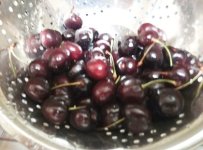 Cherries.jpg