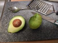 Avo overnite cut scooped.jpg