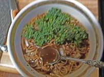 Beef ramen 10Aug23.jpg