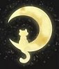 Moon cat.JPG