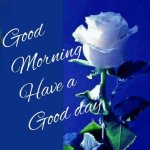 Screenshot_20231008-112433_CM Browser.jpg