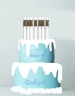 Gadget cake.jpg