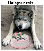 Wolf w birthday cake (1).jpg