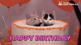 happy-birthday-cat-cake-surprise-fsn4v7ia0z2uc8bk.gif