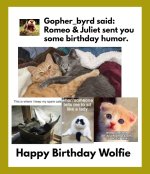 Goph BD card Wolfie.jpg