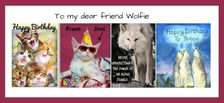 Jimi Wolfie card montage.JPG