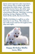 Baby wolves card rev.jpg