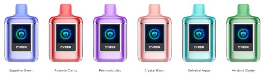 VECEE VC CYBER 650mAh 8000puffs Pod System-6 Flavors for You to Choose From.jpg