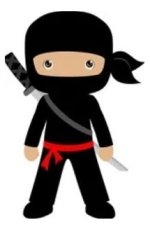Small ninja.JPG