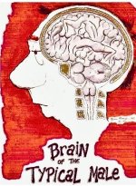 Male Brain.JPG