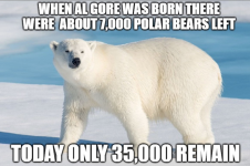 POLARBEARS.PNG.png