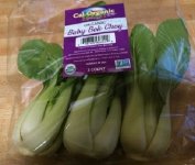 Baby bok choy.jpg